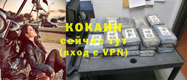 СК Касимов